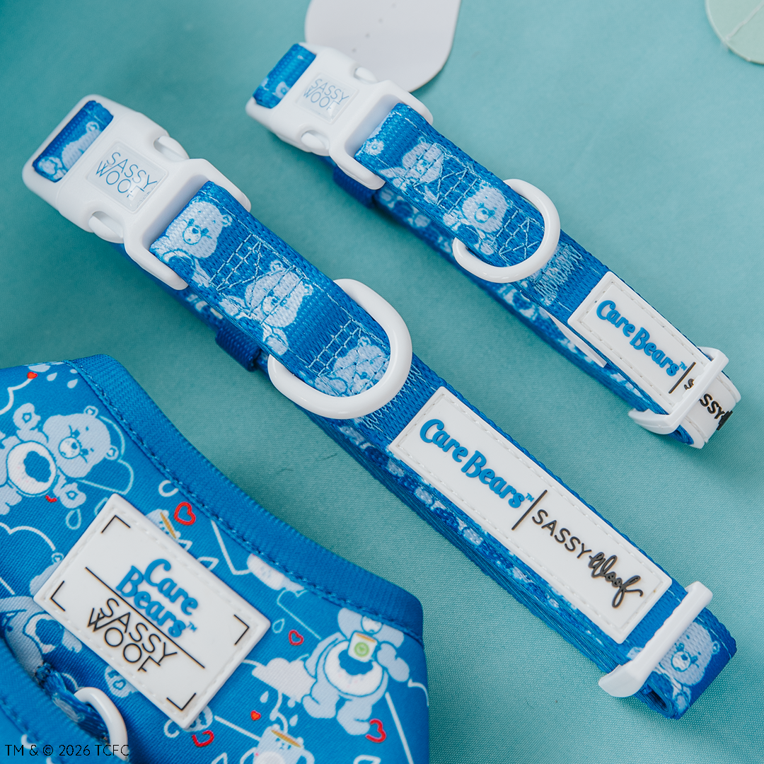Dog Collar - Care Bears™ Grumpy Bear