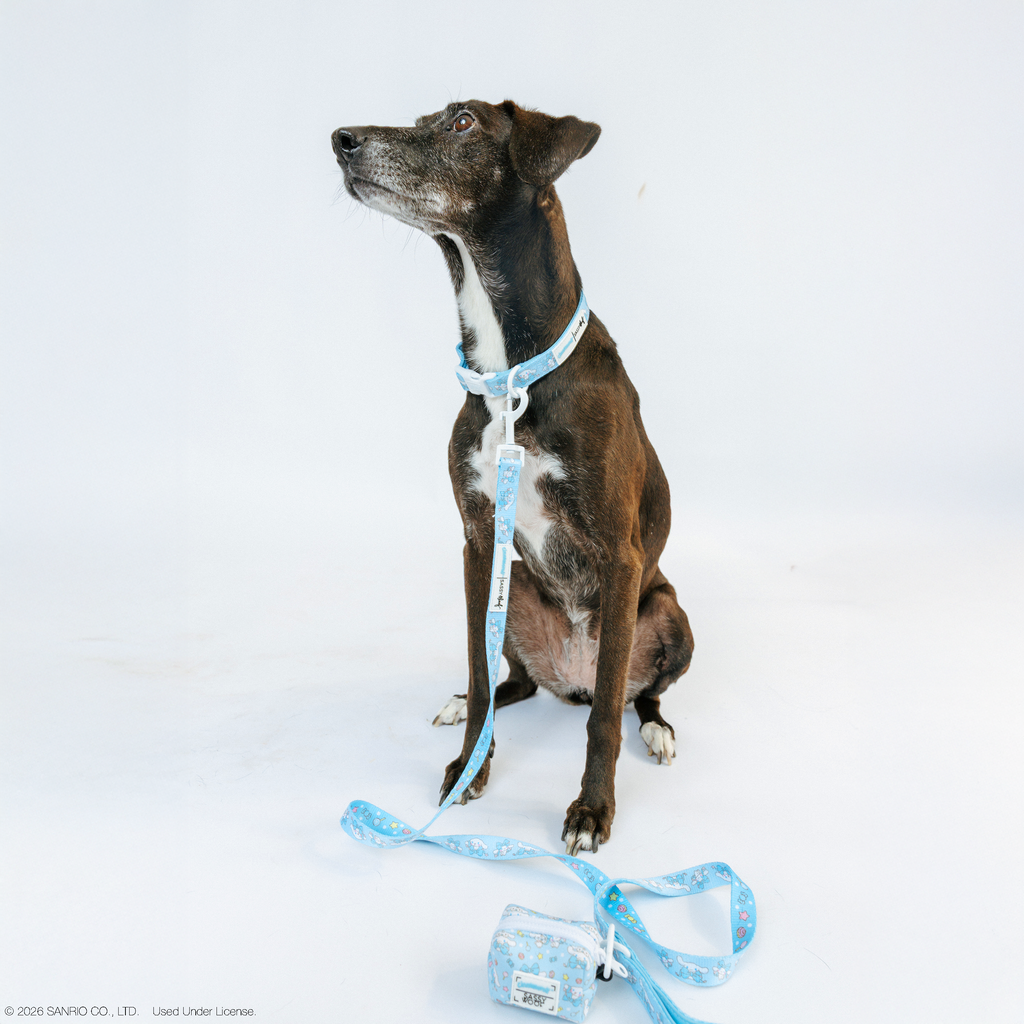Dog Collar - Cinnamoroll™