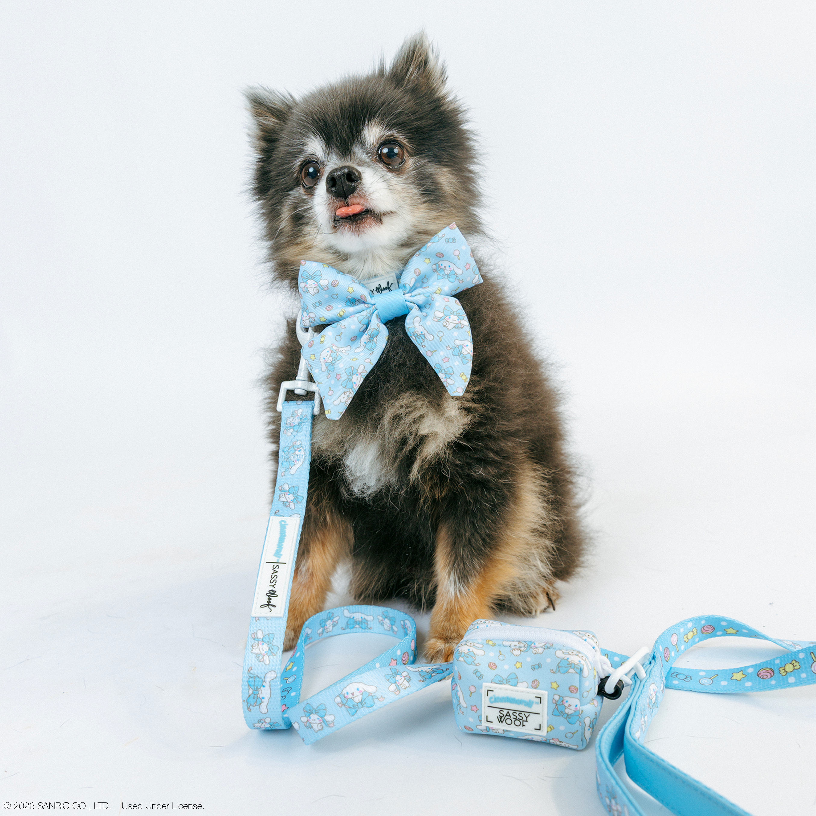 Dog Leash - Cinnamoroll™