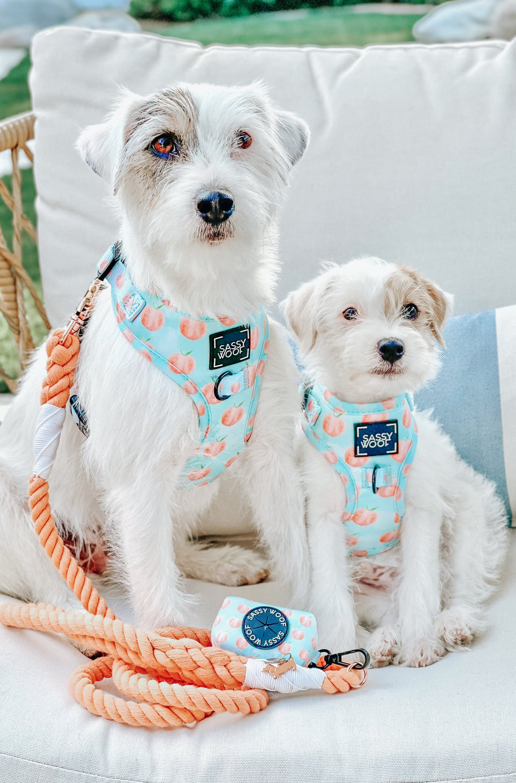 Dog Rope Leash - Clementine
