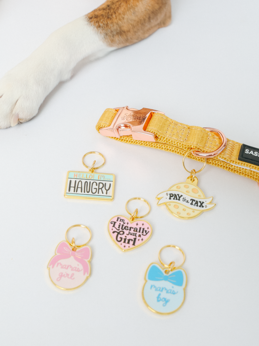 Collar Tag - Cheese Tax
