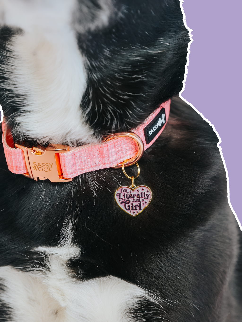 Collar Tag - Just a Girl