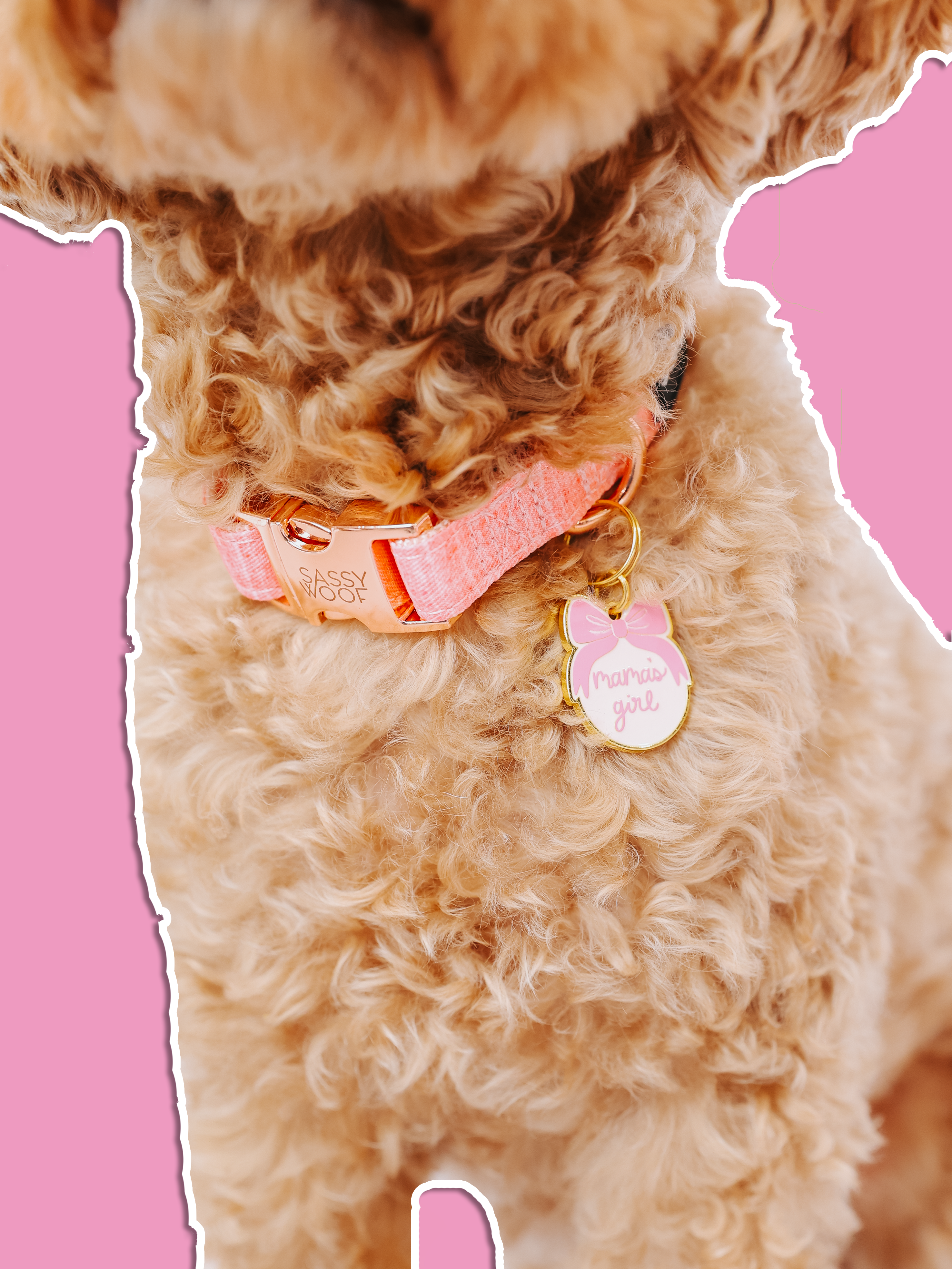 Collar Tag - Mama's Girl