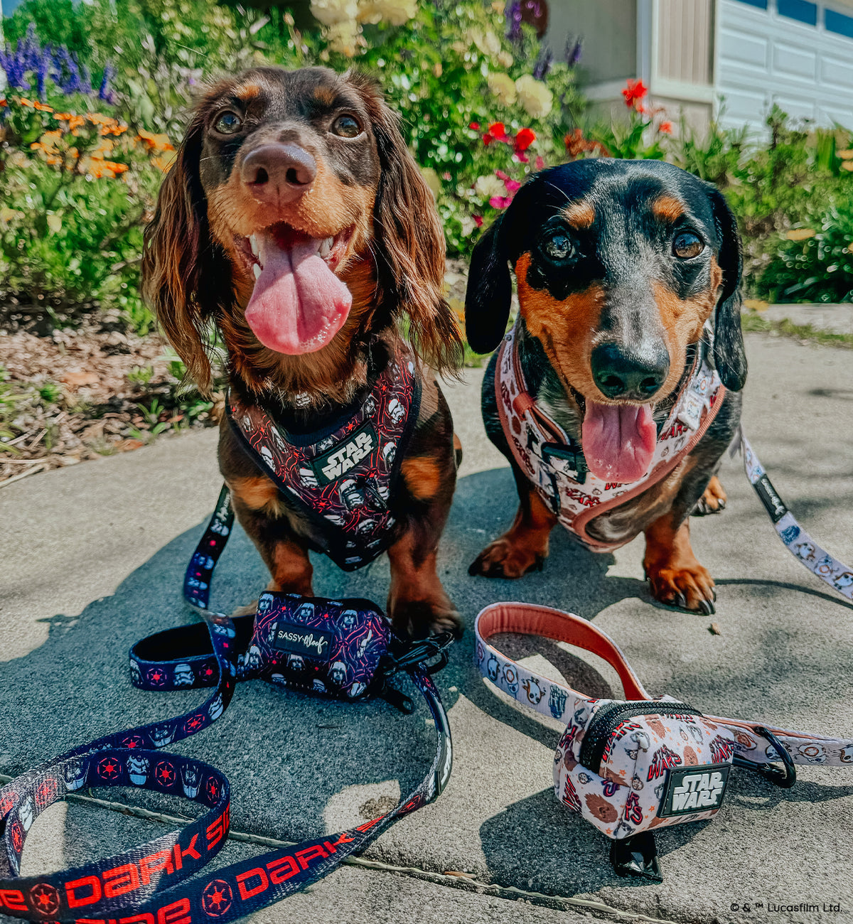Dog Adjustable Harness - STAR WARS™ The Dark Side