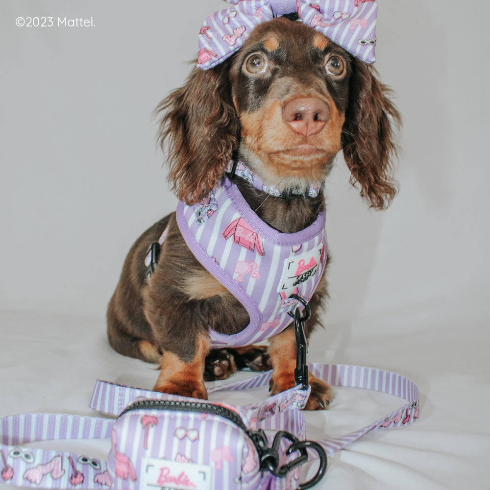 Dog Adjustable Harness - BARBIE™ Closet Goals
