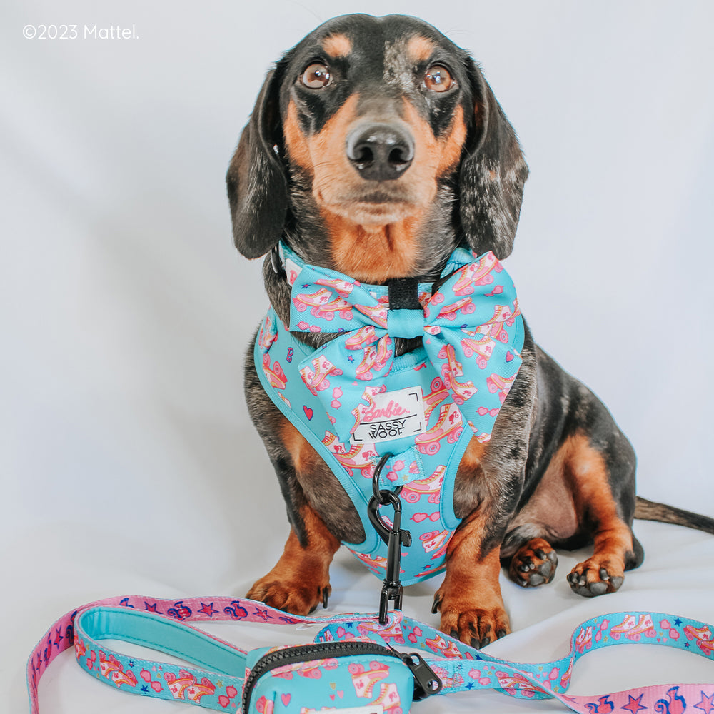 Dog Collar - BARBIE™ On a Roll