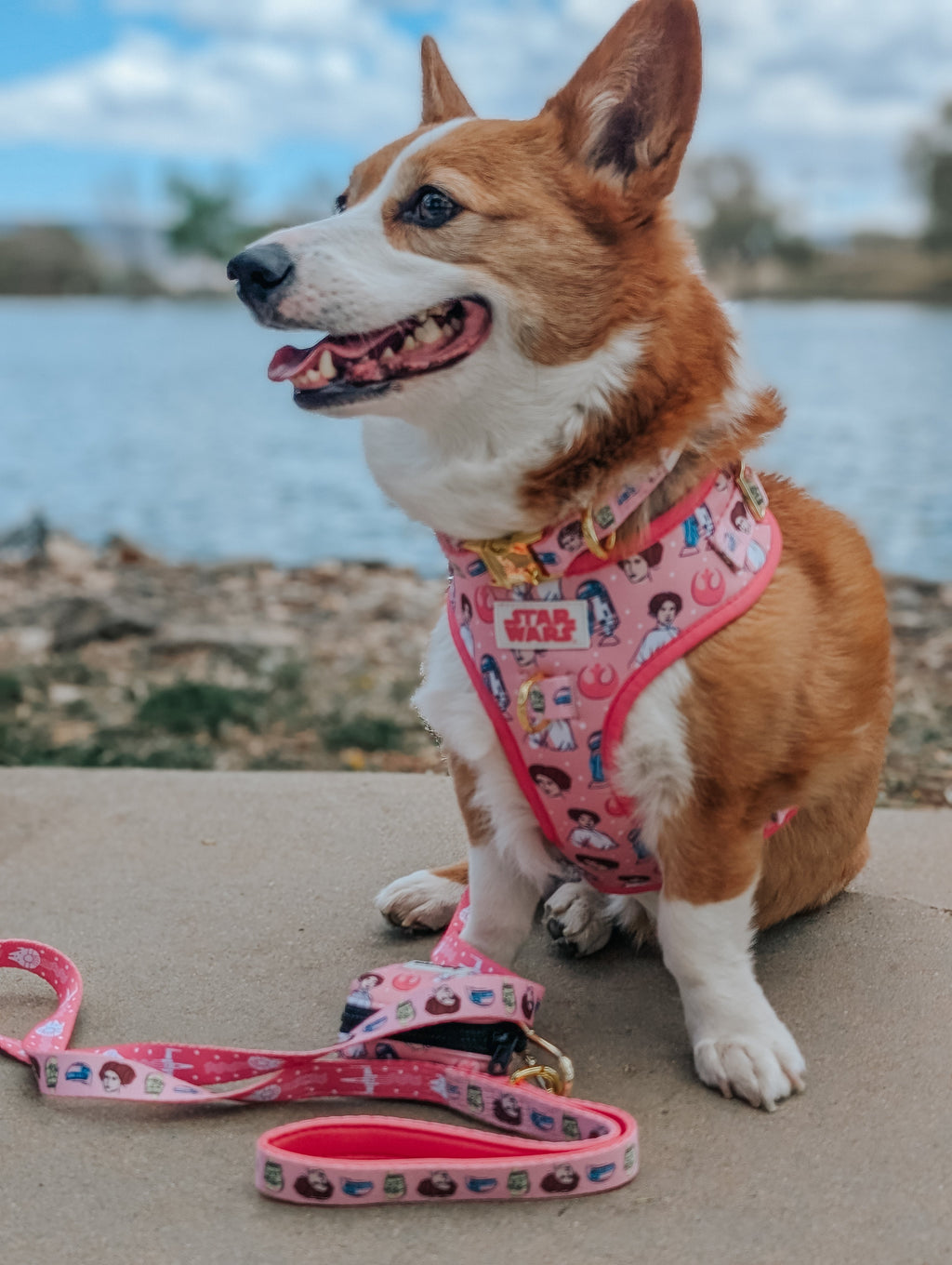 Dog Collar - STAR WARS™ Princess Leia