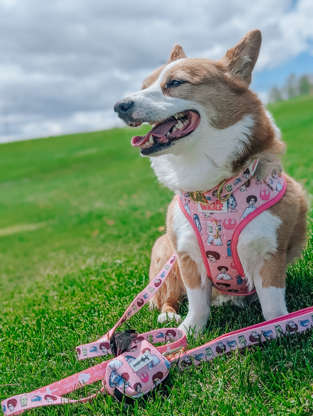 Dog Adjustable Harness - STAR WARS™ Princess Leia
