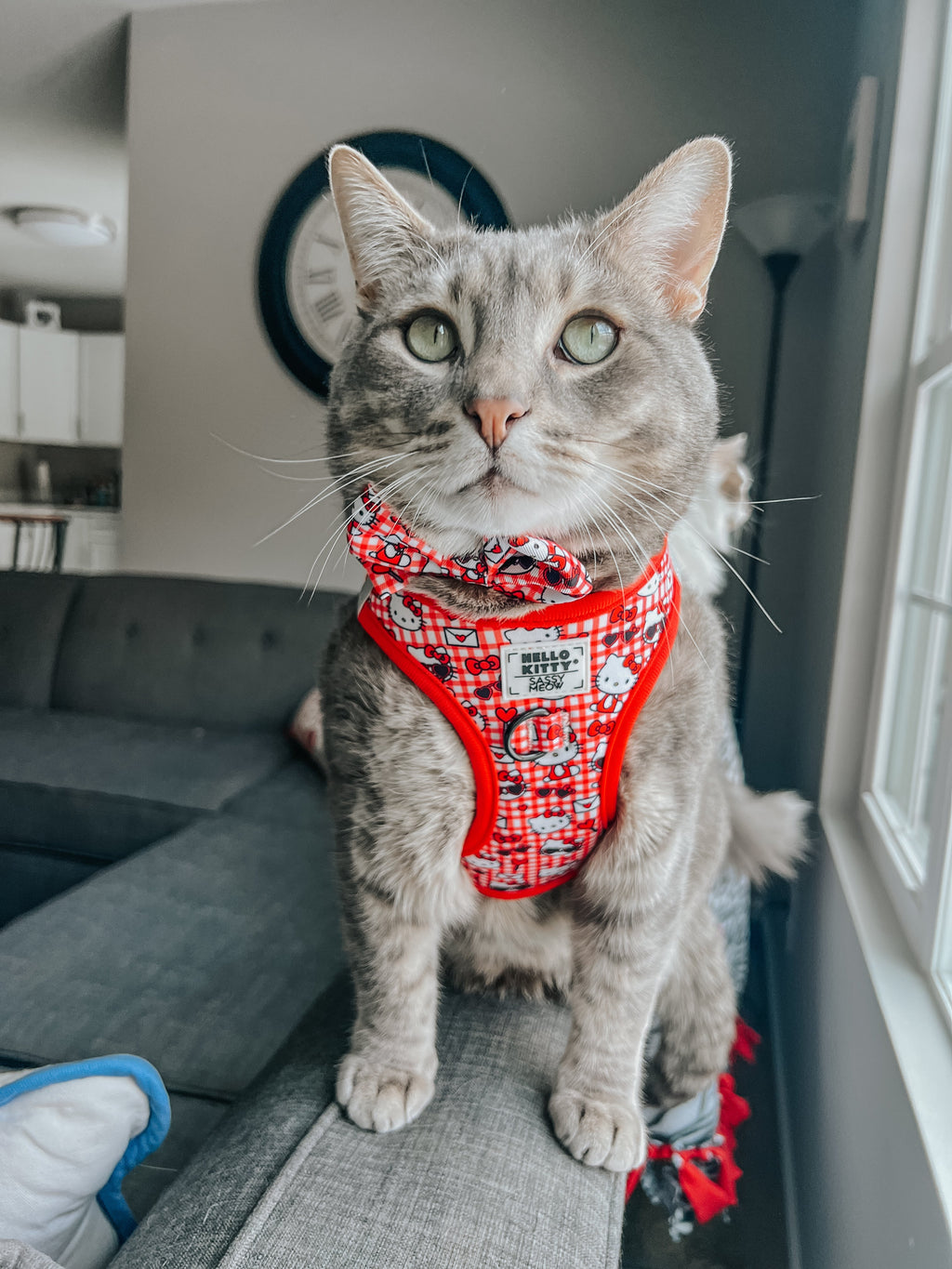 Cat Step-In Harness - Hello Kitty® Red Classic