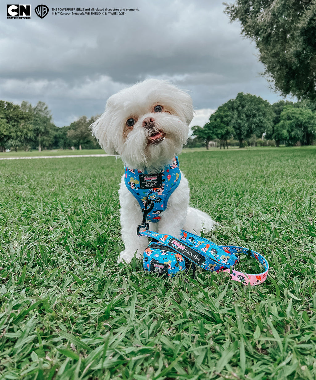 Dog Adjustable Harness - The Powerpuff Girls™ (Blue)