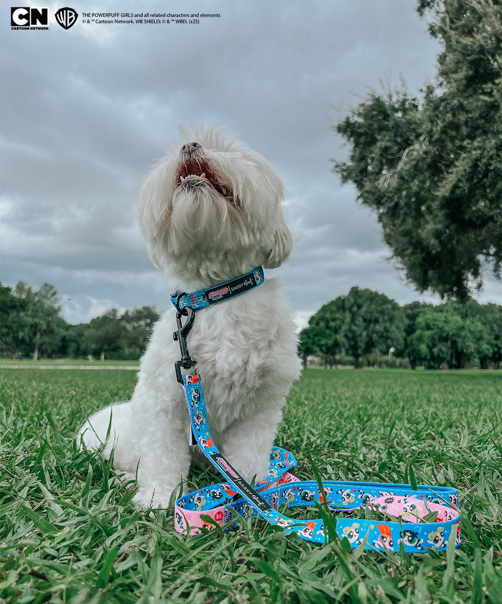 Dog Collar - The Powerpuff Girls™ (Blue)