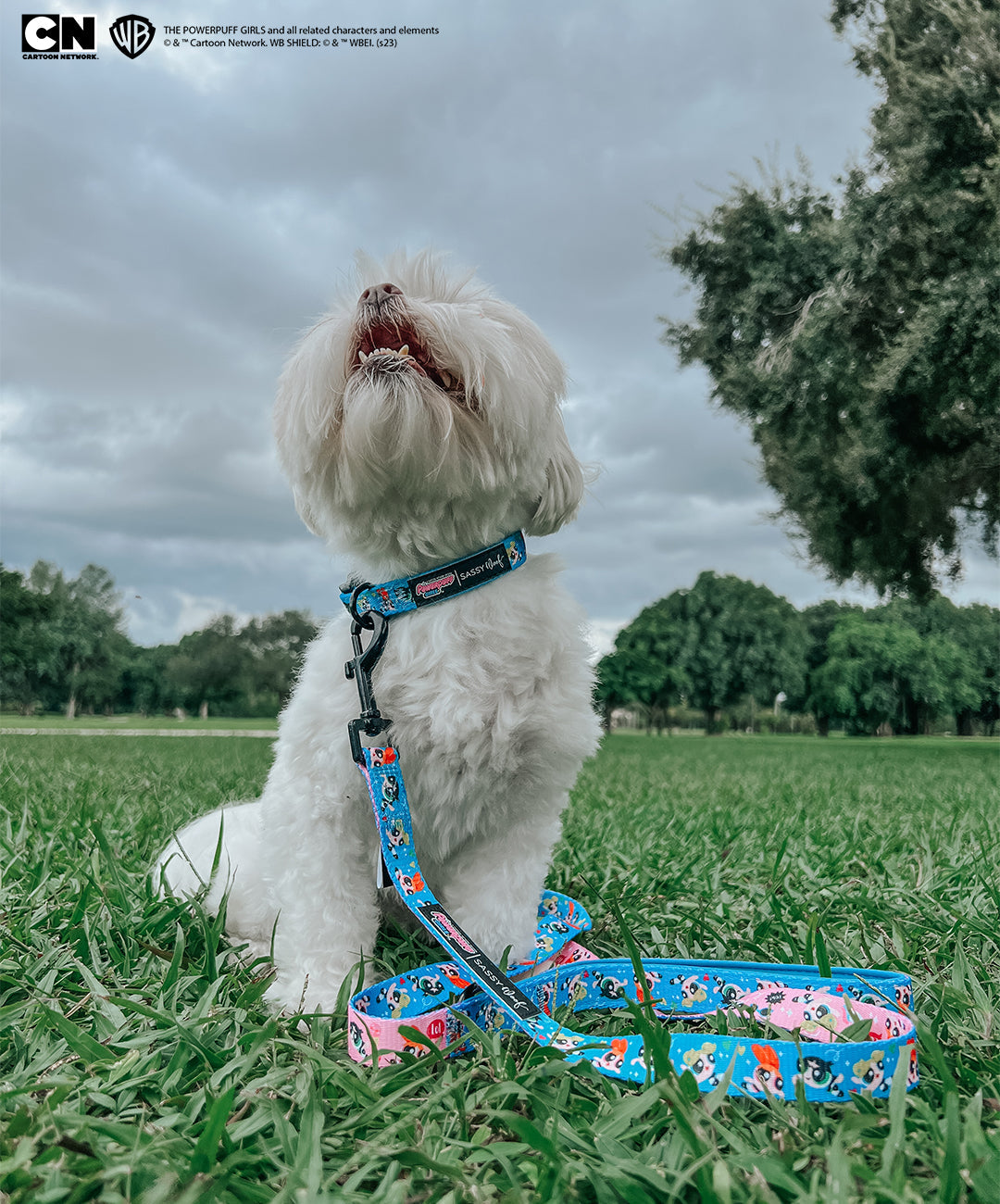Dog Collar - The Powerpuff Girls™ (Blue)