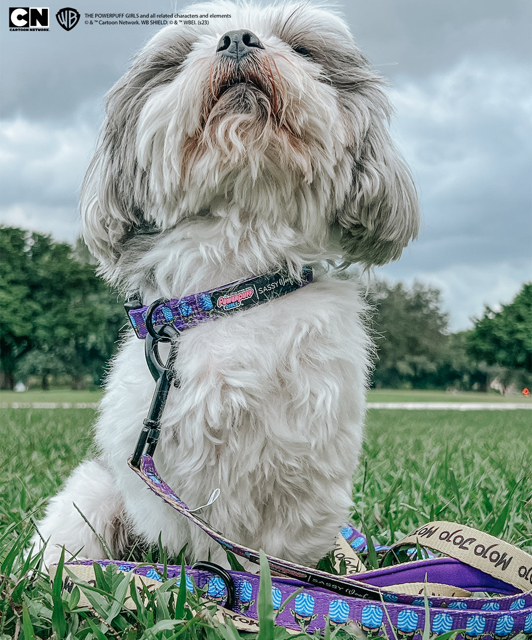 Dog Leash - Mojo Jojo™