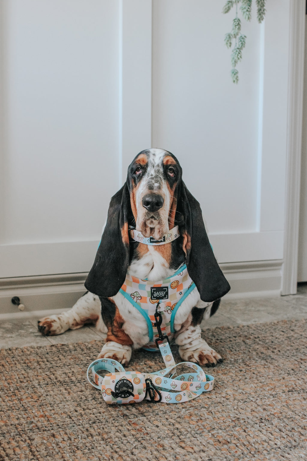 Dog Adjustable Harness - Mush Love