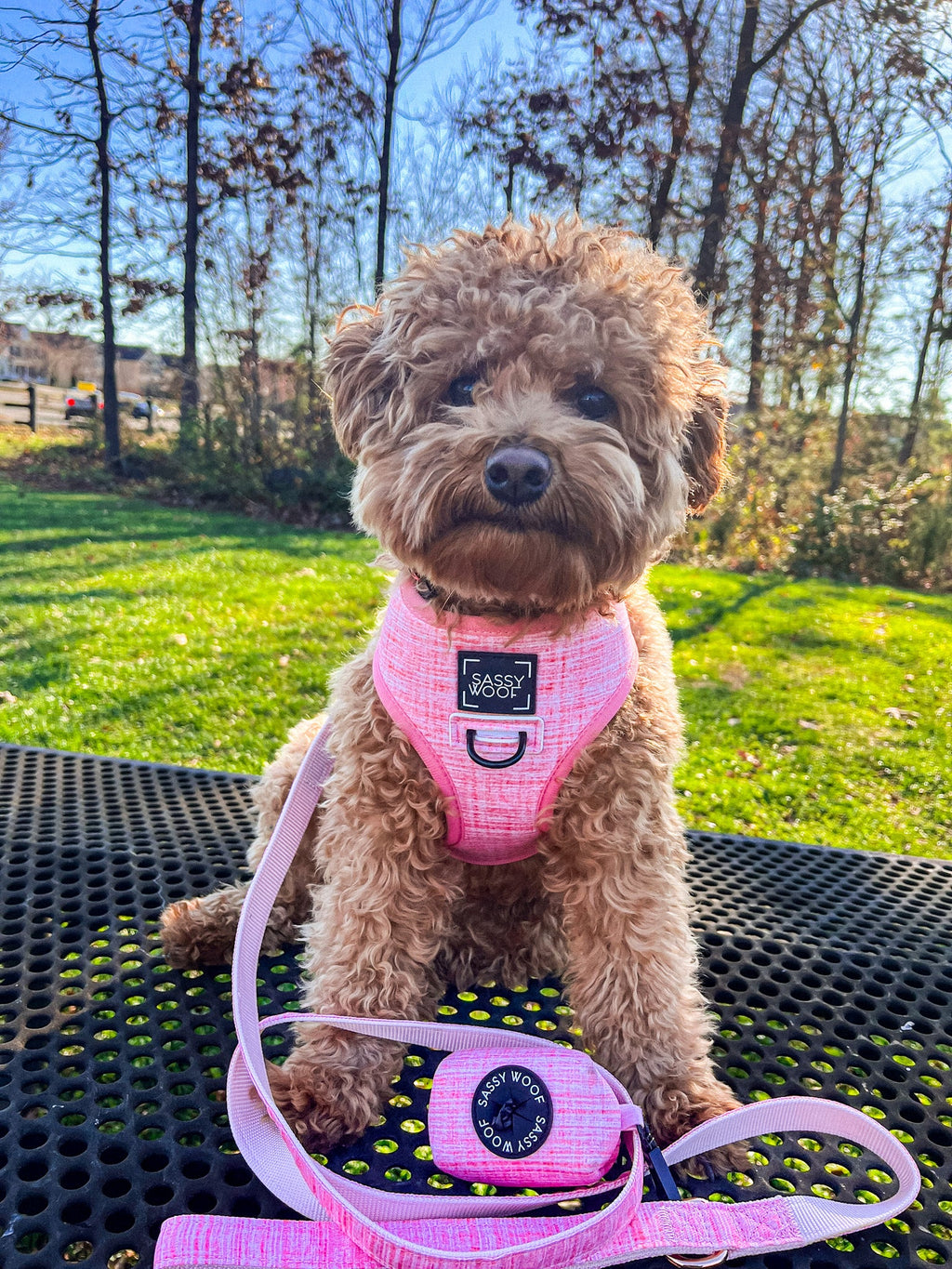 Dog Reversible Harness - Dolce Rose