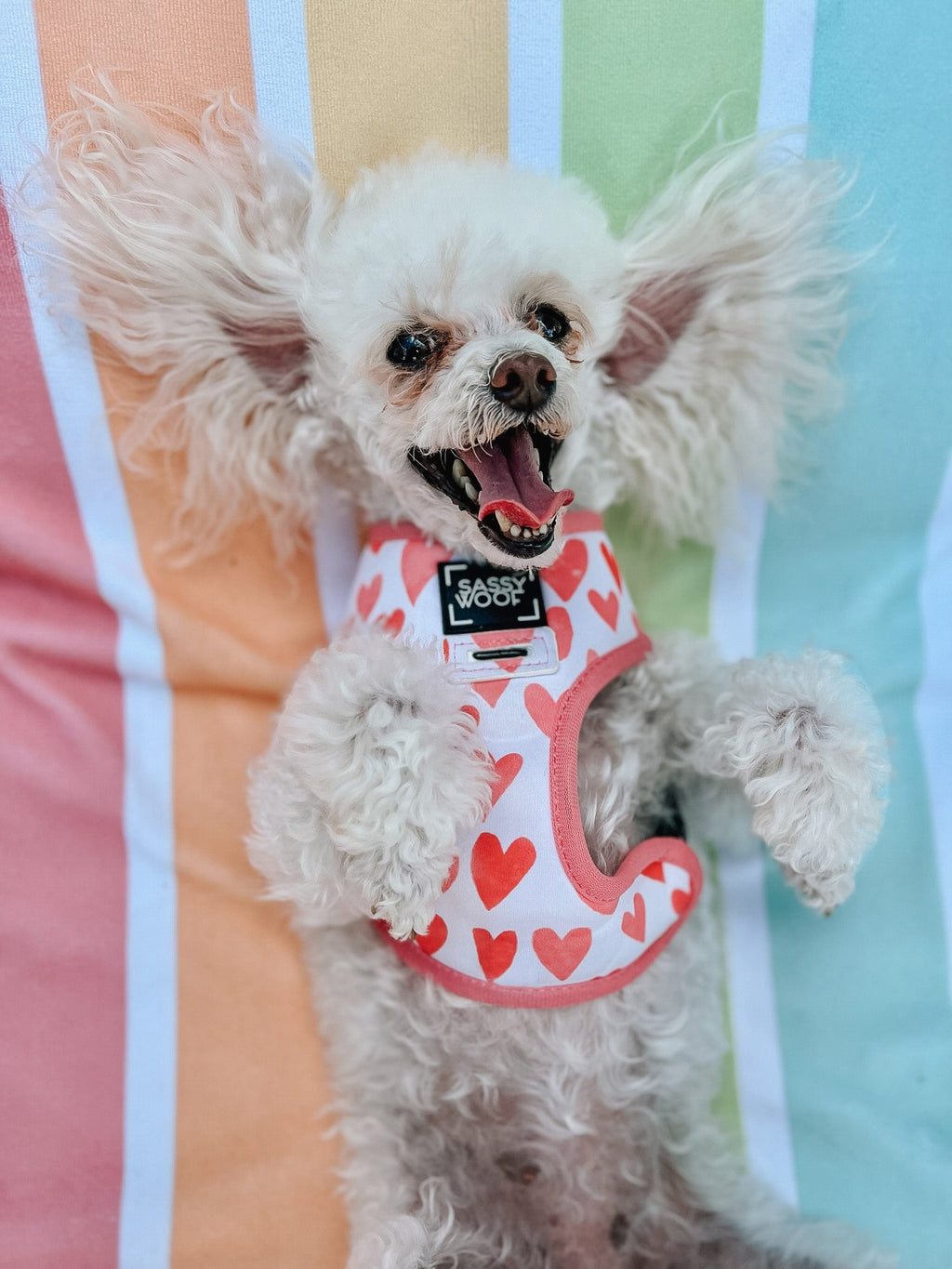 Dog Reversible Harness - Dolce Rose
