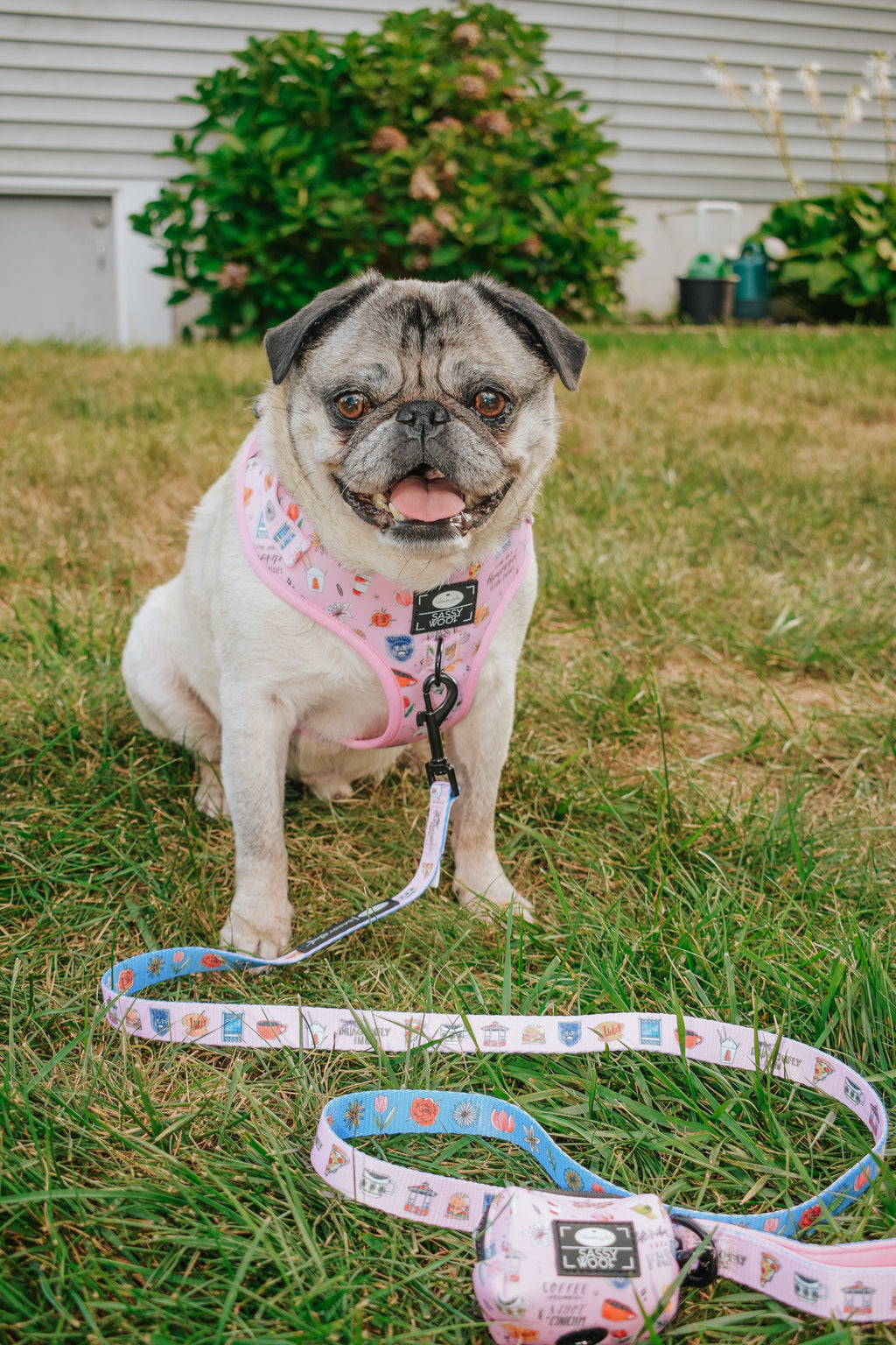 Dog Adjustable Harness - Gilmore Girls™