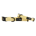 Dog Collar - Daffodil