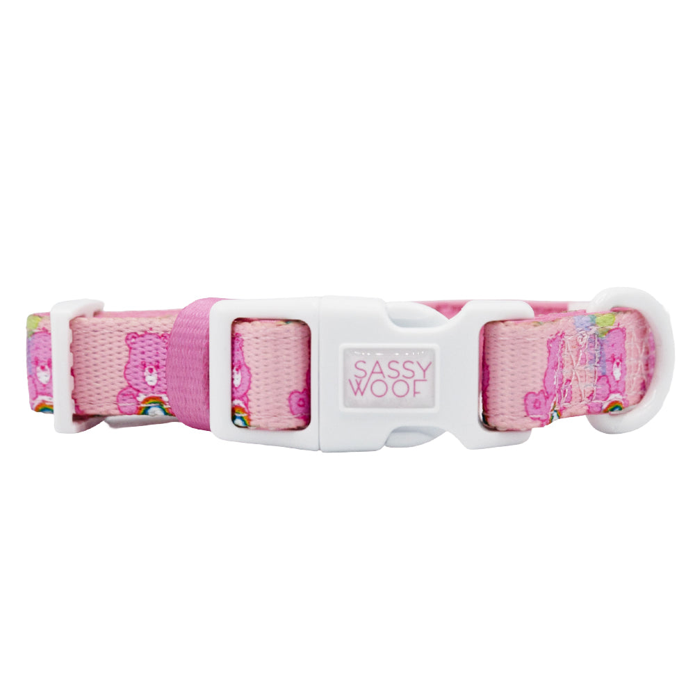 Dog Collar - Care Bears™ Cheer Bear