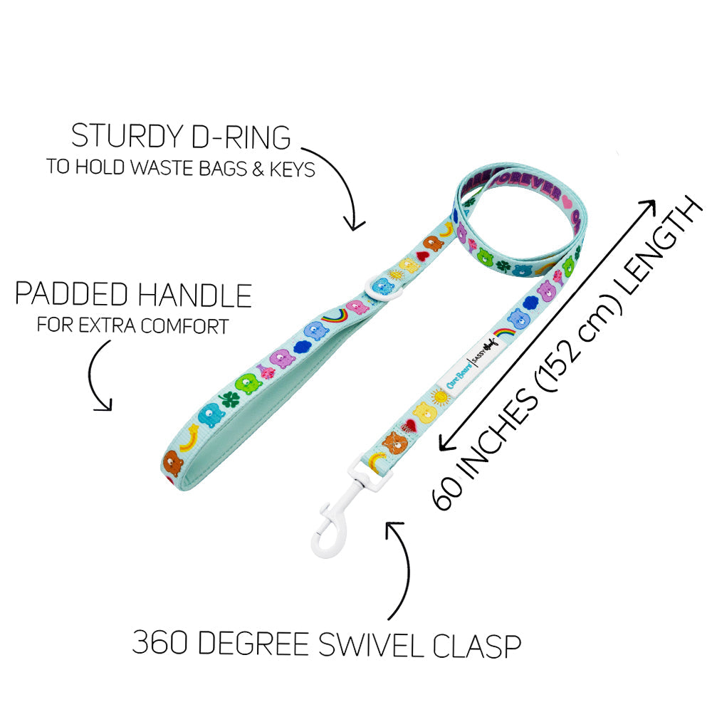 Dog Leash - Care Bears™ Care-a-Lot