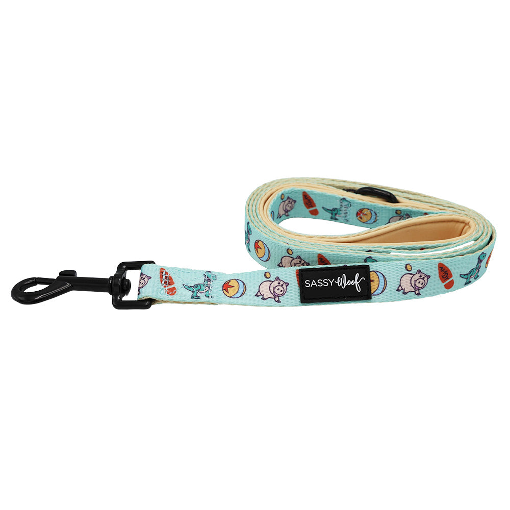 Dog Leash - Disney and Pixar's Toy Story