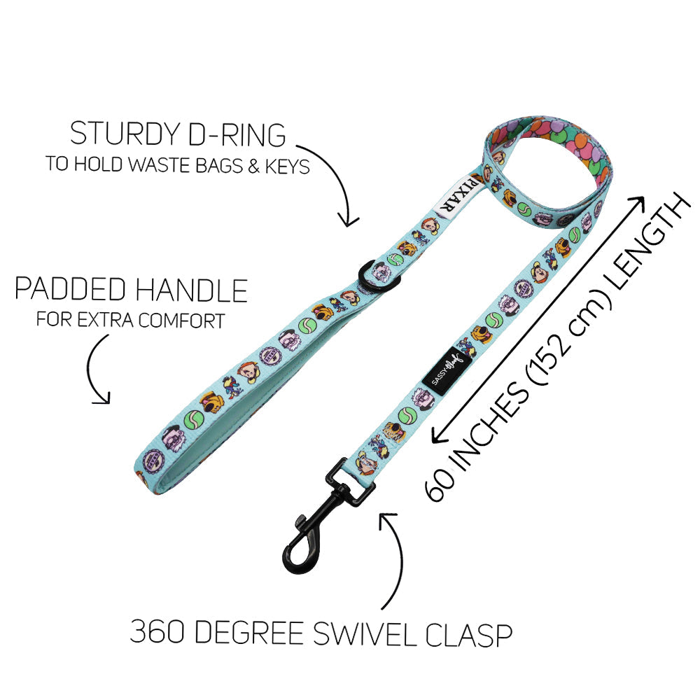 Dog Leash - Disney and Pixar's Up