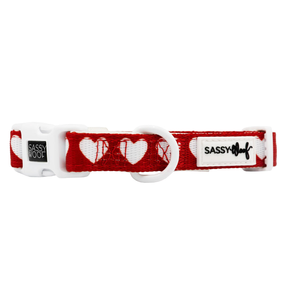 Dog Collar - Little Love