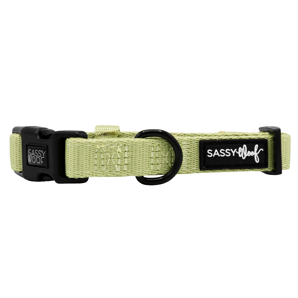 Dog Collar - Matcha