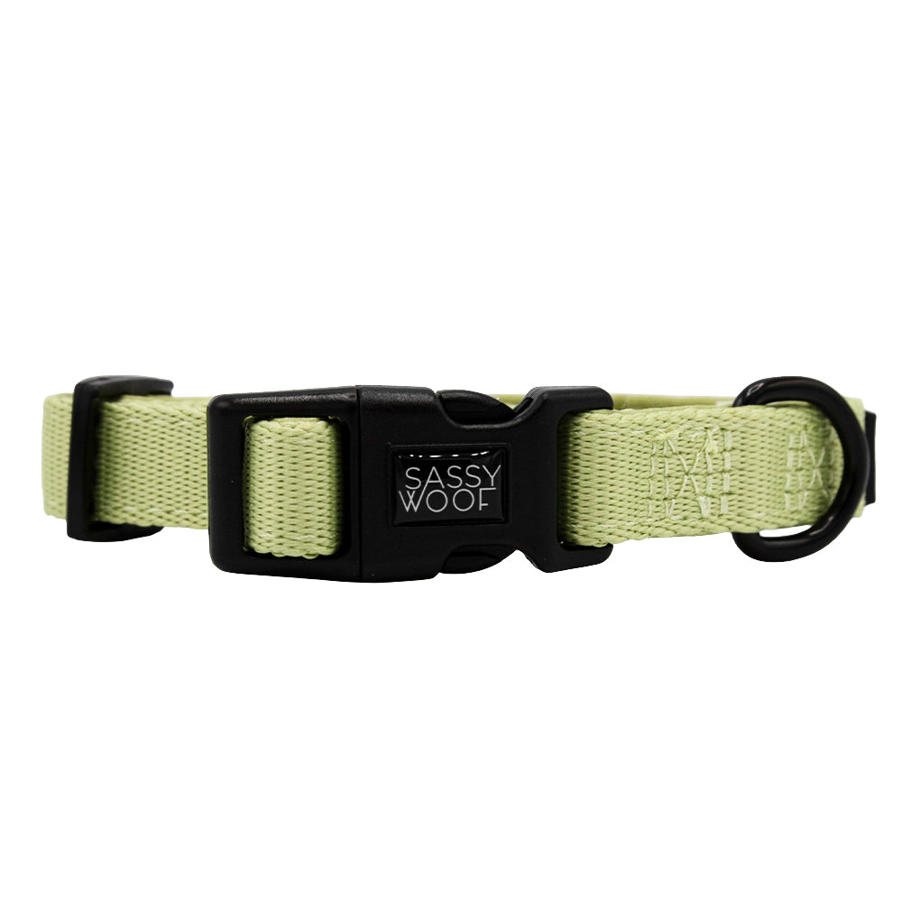 Dog Collar - Matcha