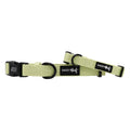 Dog Collar - Matcha