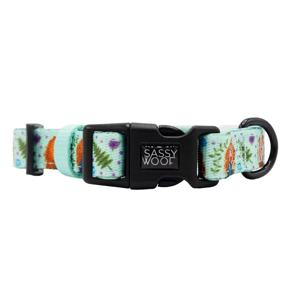 Dog Collar - Disney's Merida