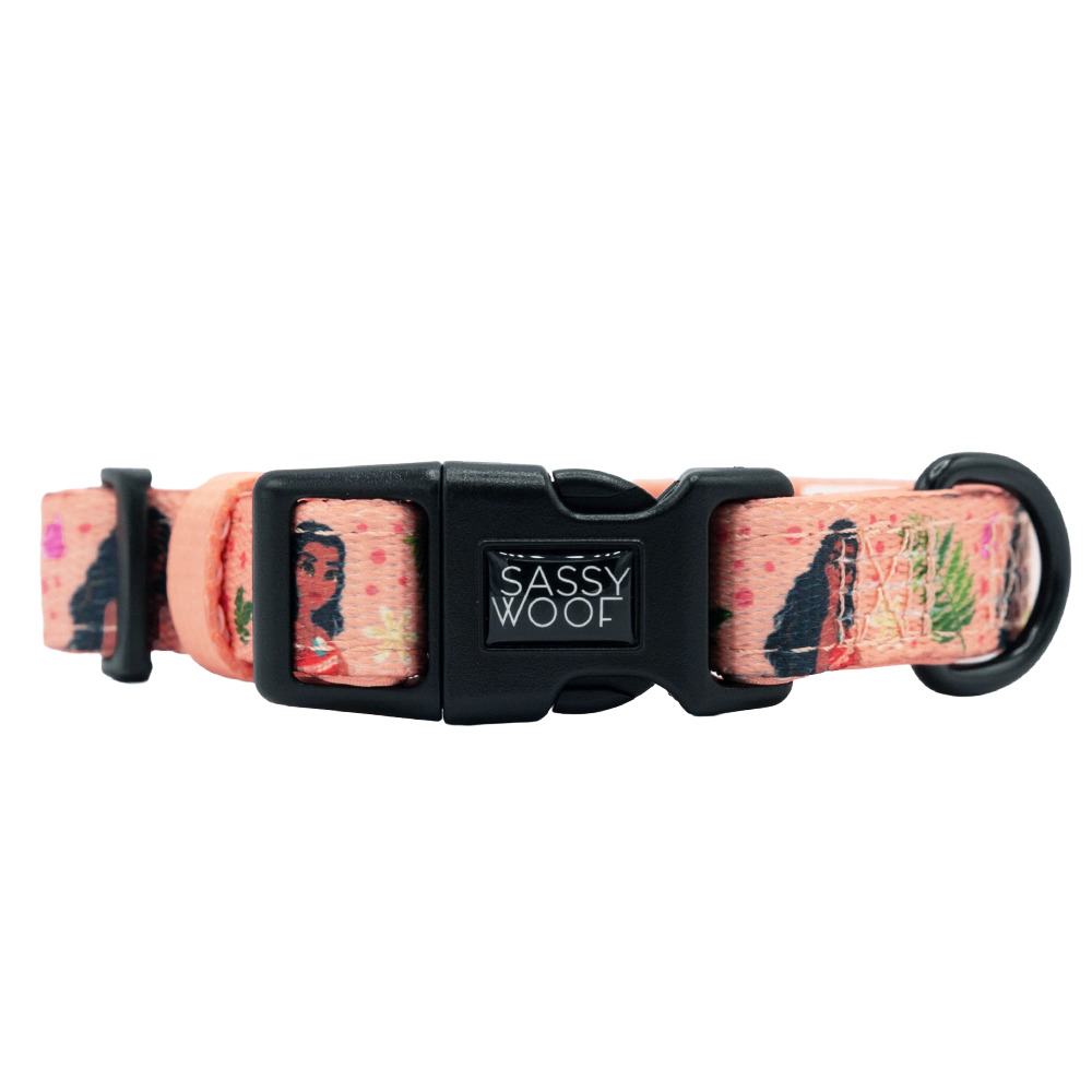 Dog Collar - Disney's Moana