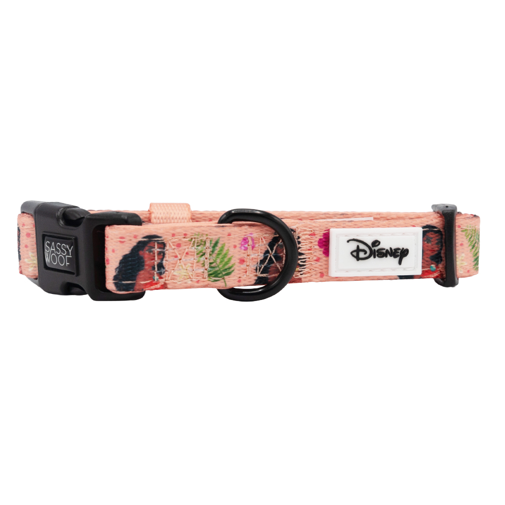 Dog Collar - Disney's Moana