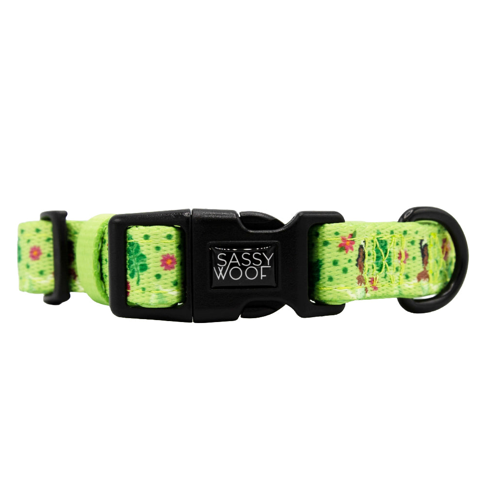 Dog Collar - Disney's Tiana