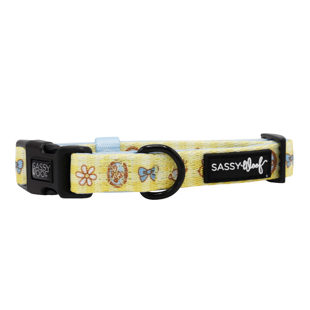 Dog Collar - Patch Perfect
