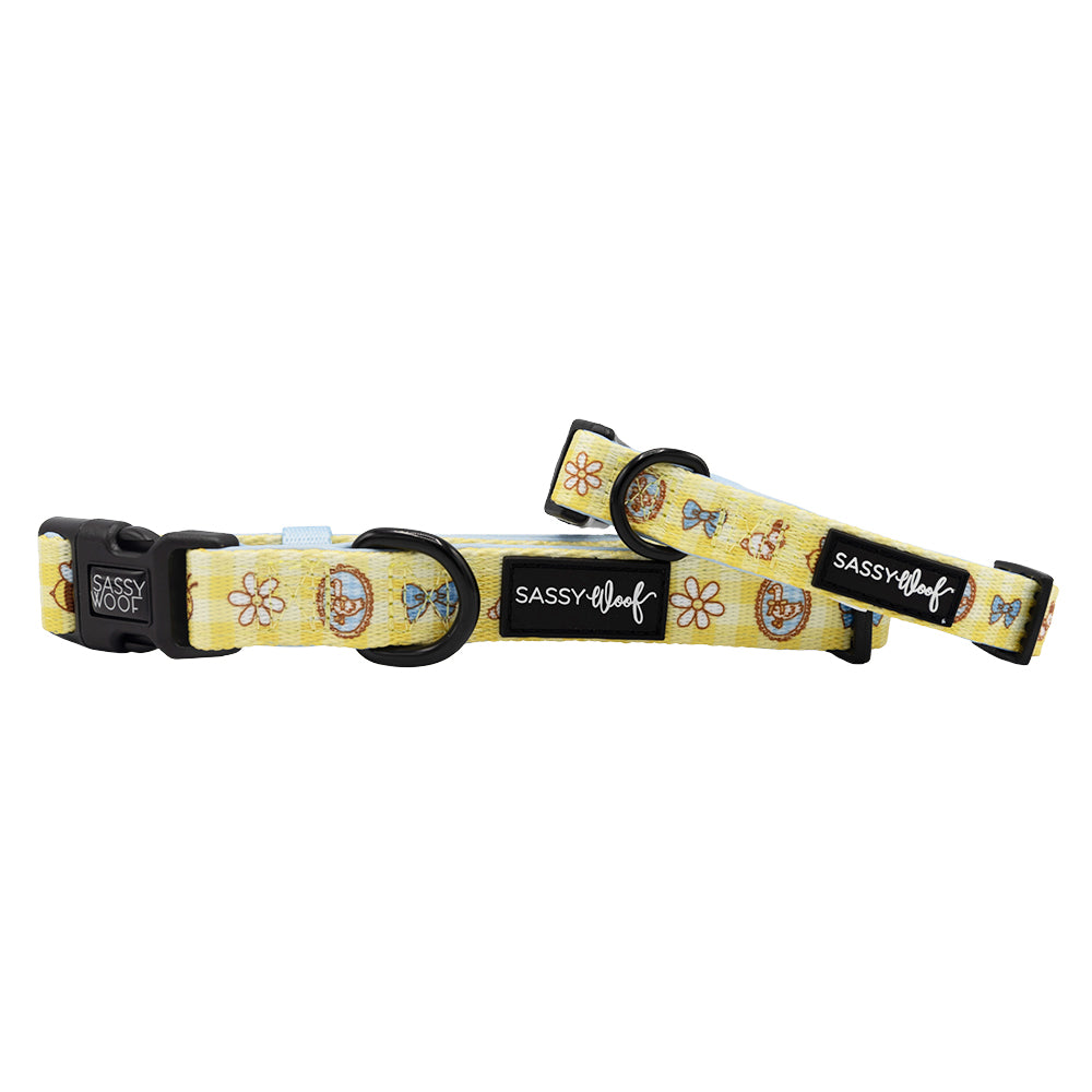 Dog Collar - Patch Perfect