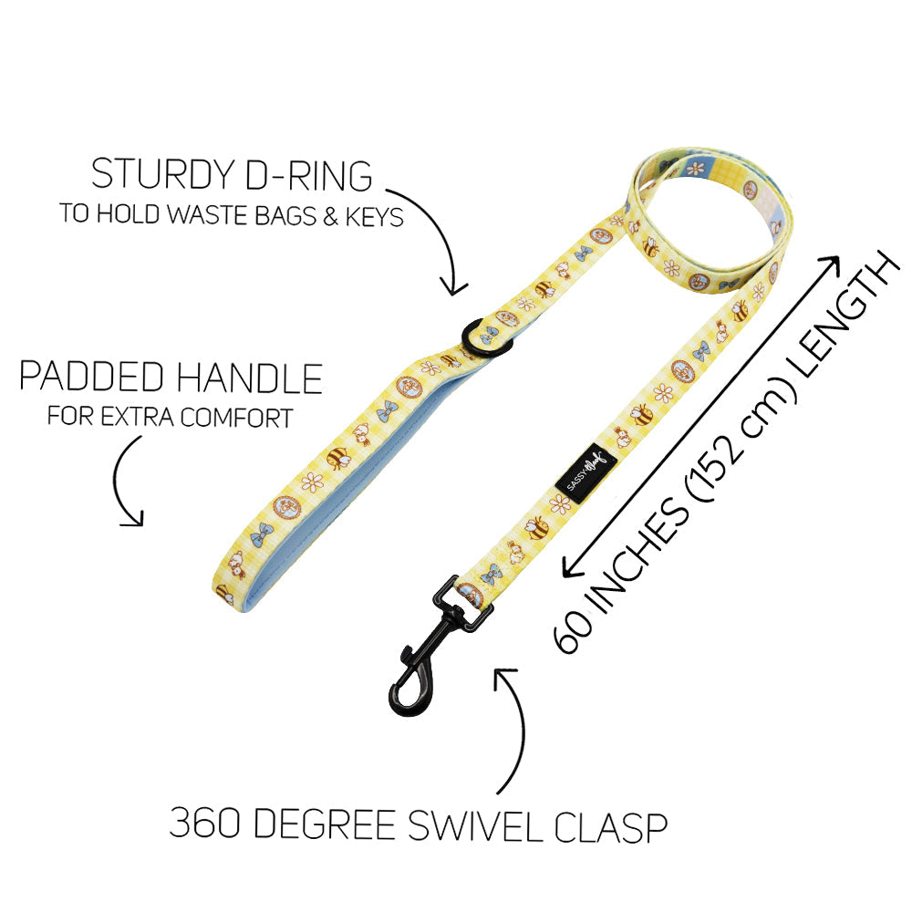 Dog Leash - Patch Perfect