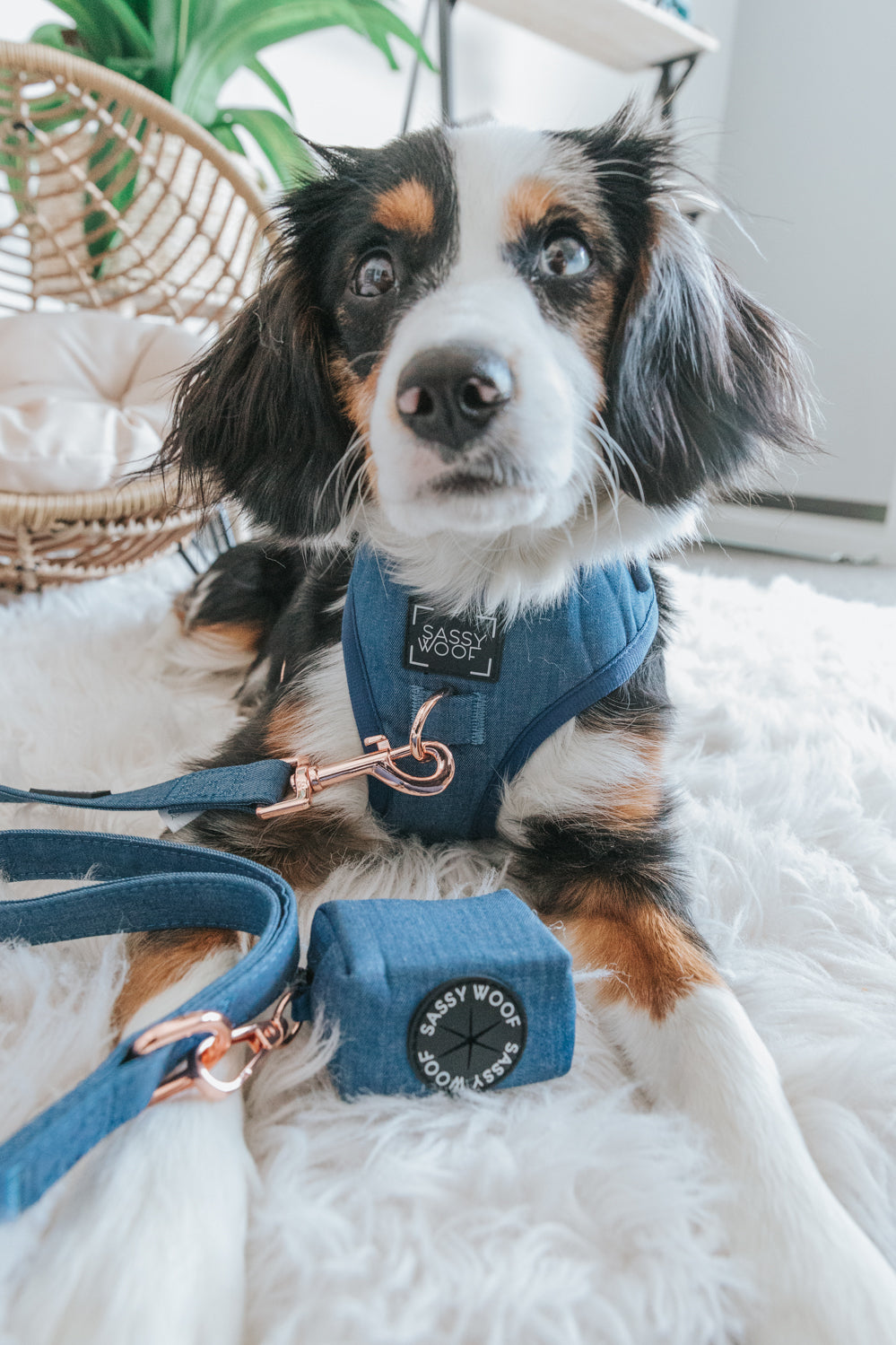 Dog Adjustable Harness - Denim