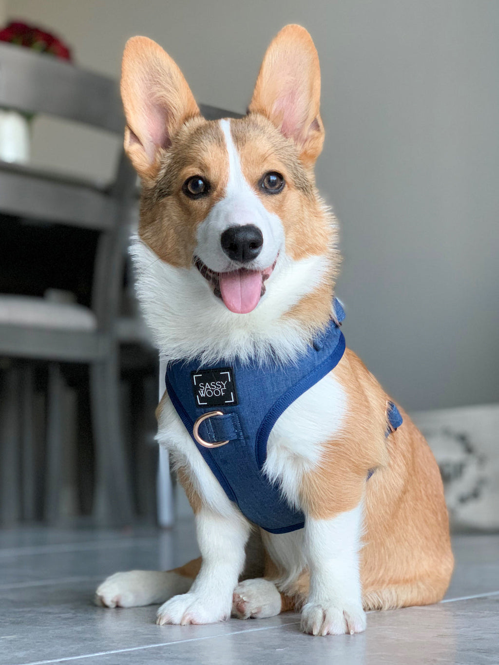 Dog Adjustable Harness - Denim