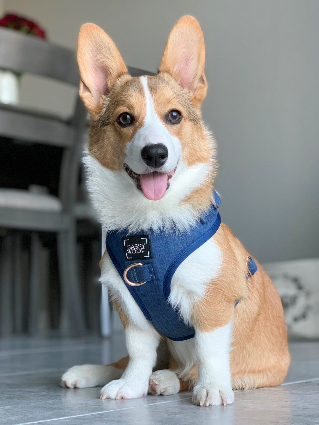 Dog Adjustable Harness - Denim