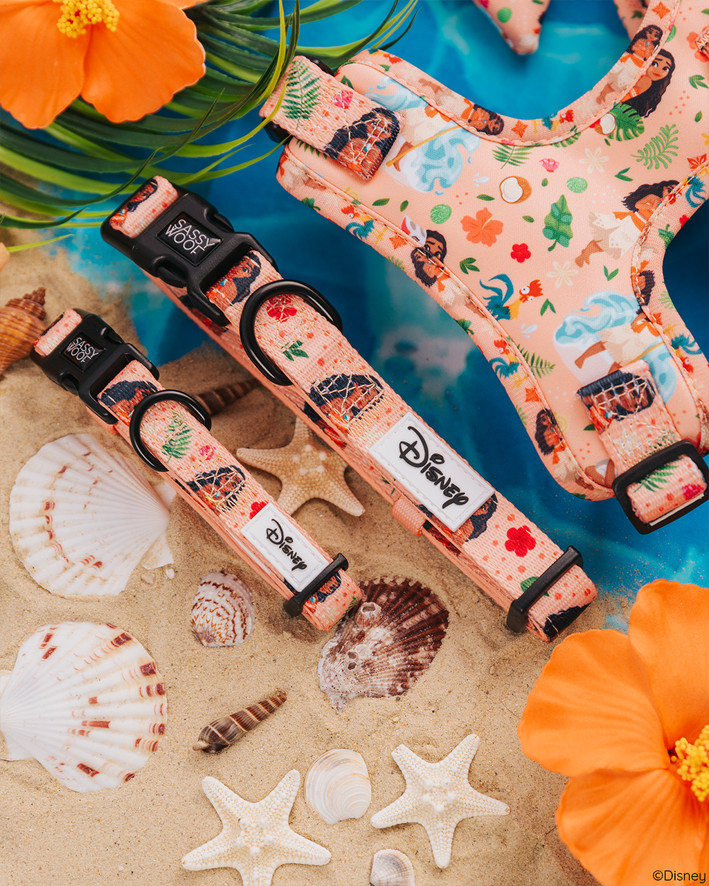 Dog Collar - Disney's Moana