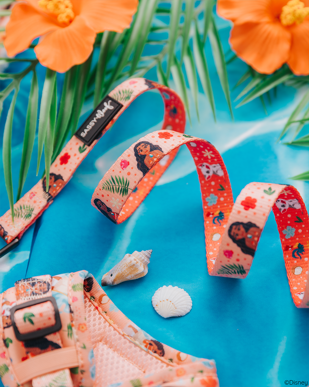 Dog Leash - Disney's Moana