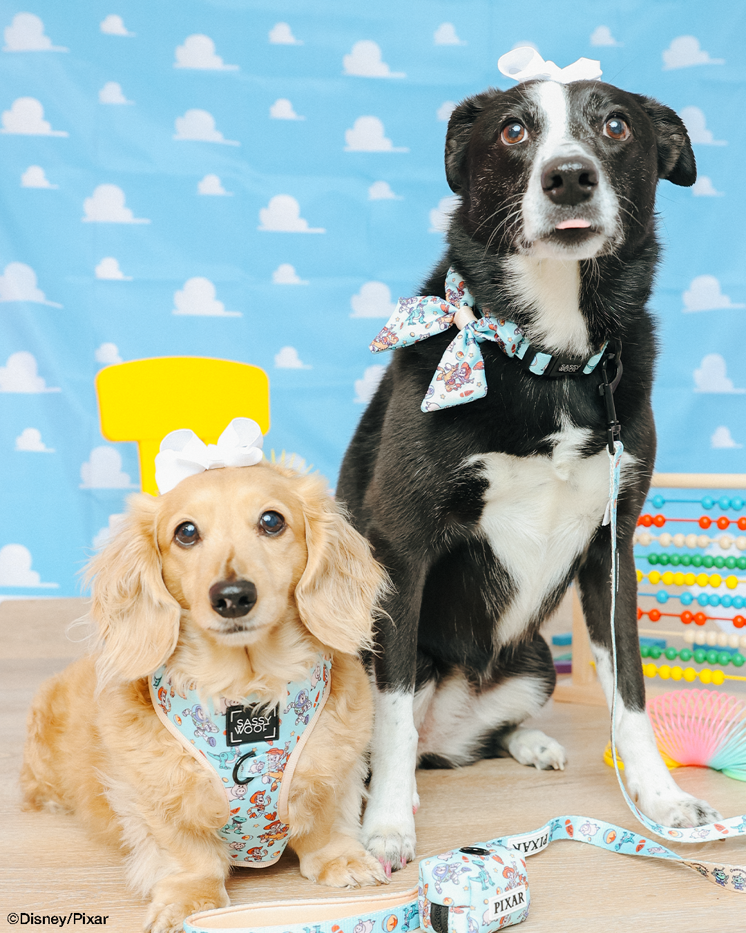 Dog Adjustable Harness - Disney and Pixar's Toy Story