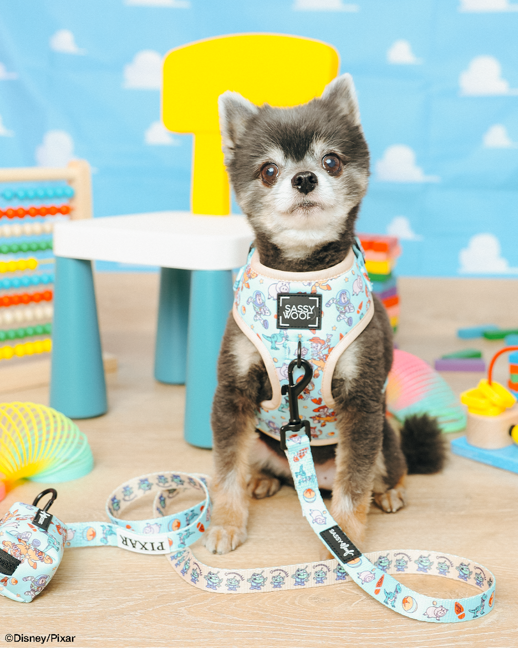 Dog Adjustable Harness - Disney and Pixar's Toy Story