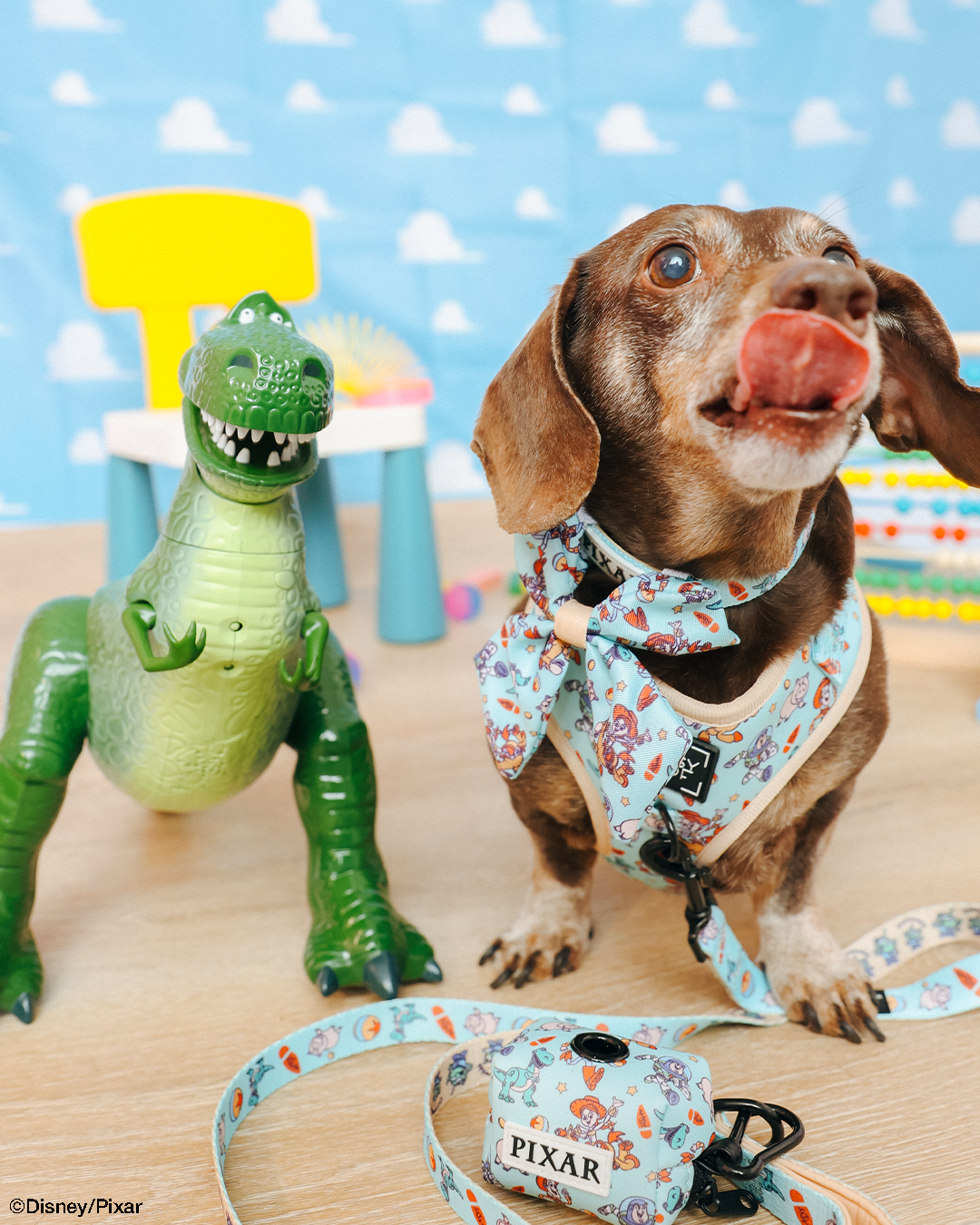 Dog Leash - Disney and Pixar's Toy Story