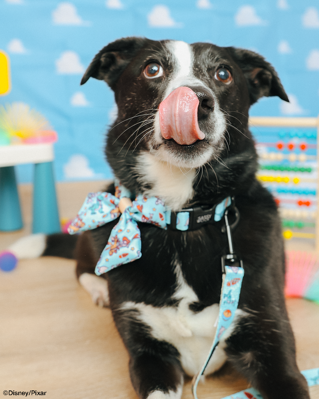Dog Leash - Disney and Pixar's Toy Story