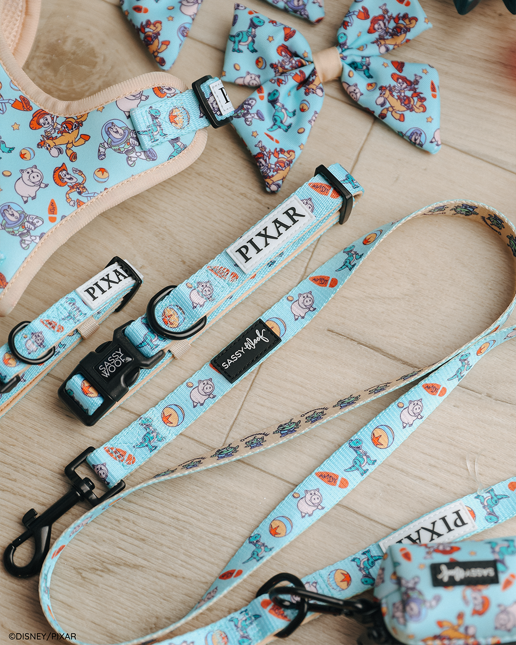 Dog Leash - Disney and Pixar's Toy Story