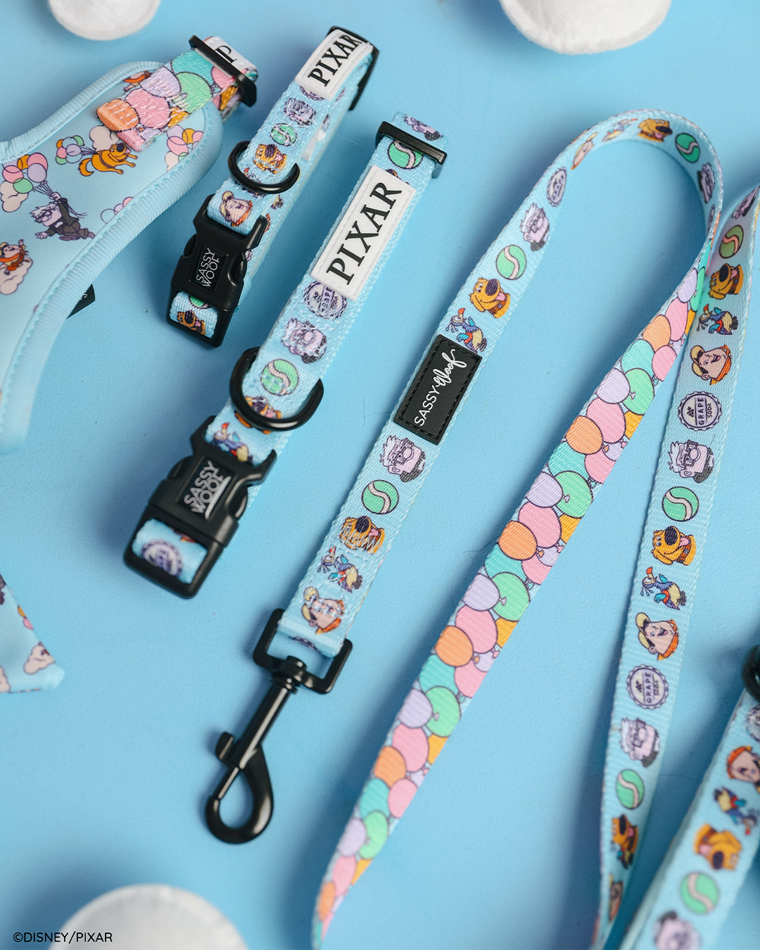 Dog Leash - Disney and Pixar's Up