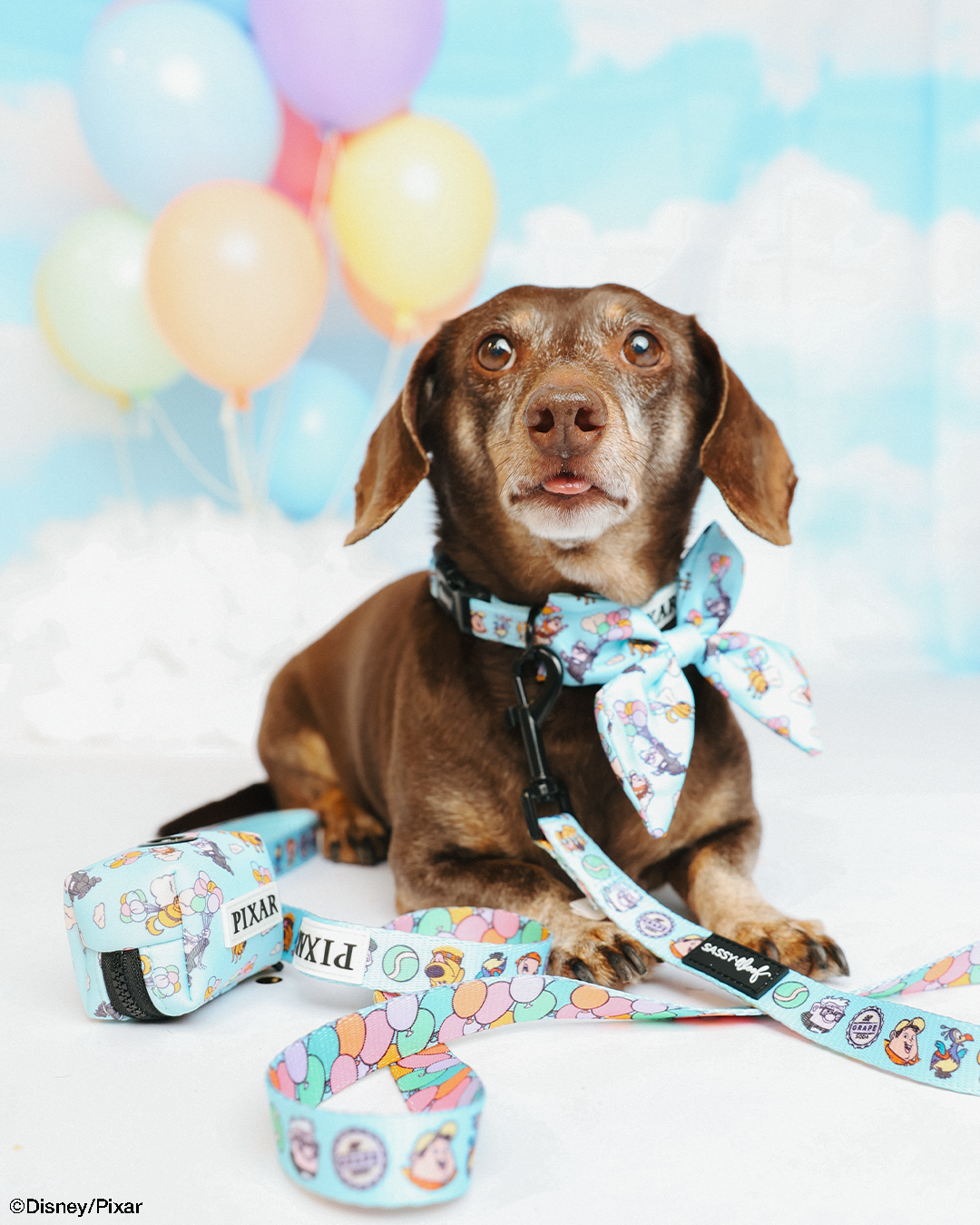 Dog Leash - Disney and Pixar's Up