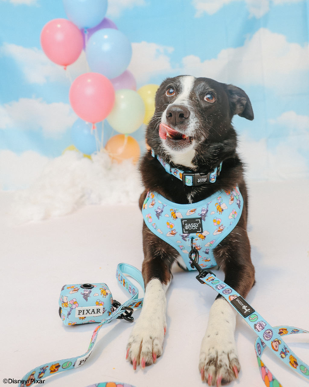 Dog Adjustable Harness - Disney and Pixar's Up
